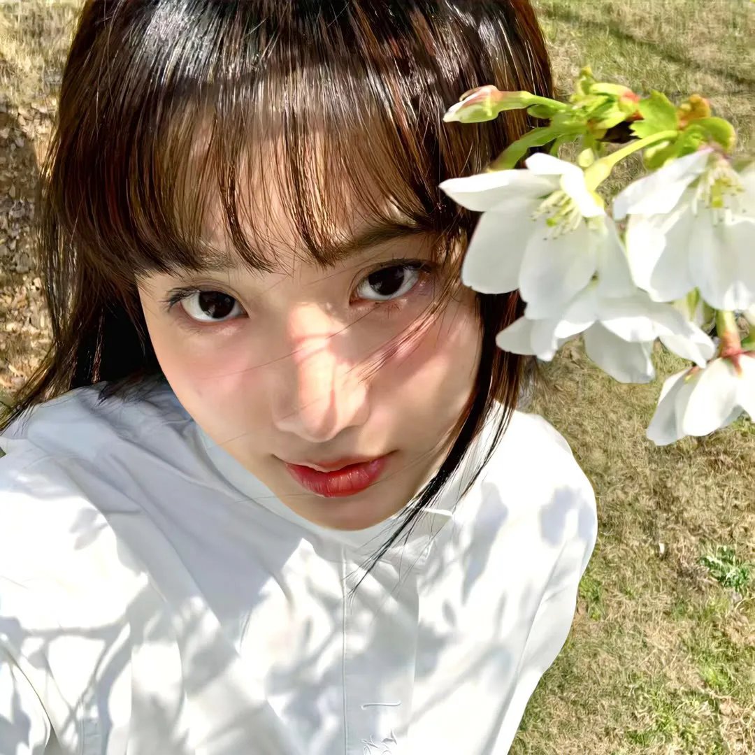 灵书妙探第三季
